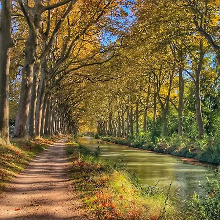 Le Petit Robert - Centre - Calme شقة *