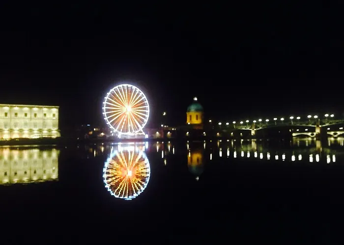 Le Petit Robert - Centre - Calme Toulouse