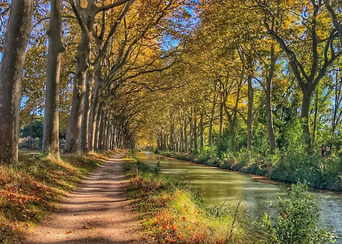 Le Petit Robert - Centre - Calme 아파트 *